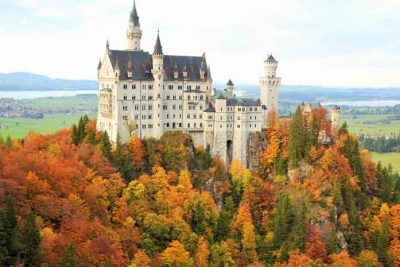 Colourful trees around the Neuschwanstein Castle in Fall.