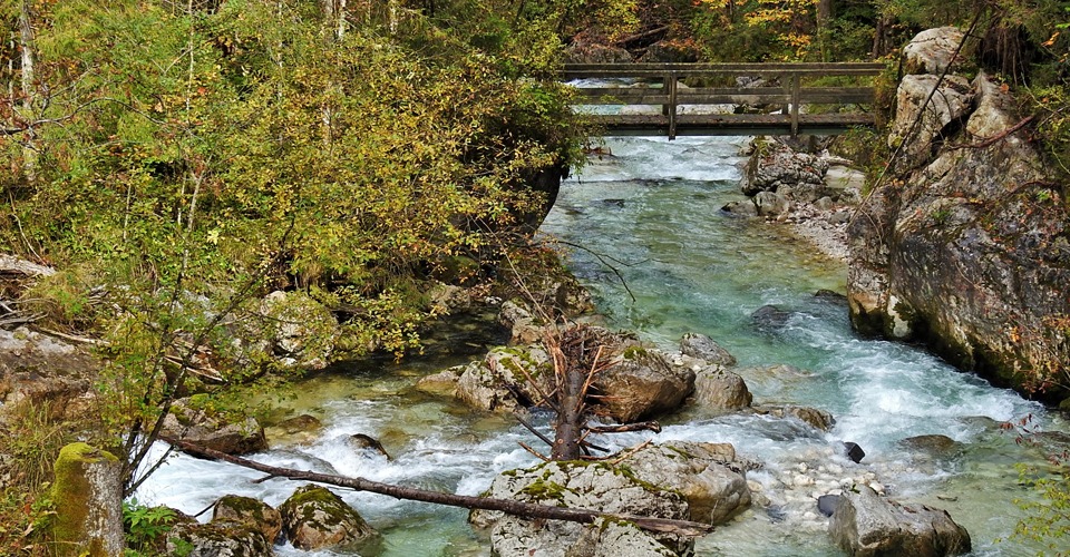 Berchtesgaden-Magic-Forest.jpg