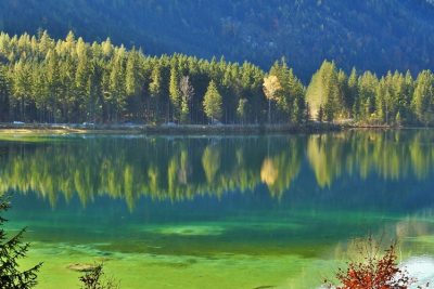 Green lake Hintersee near Ramsau Berchtesgaden.