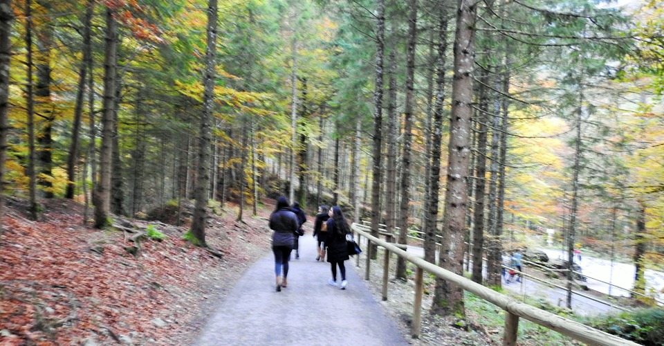 neuschwanstein-walking-path