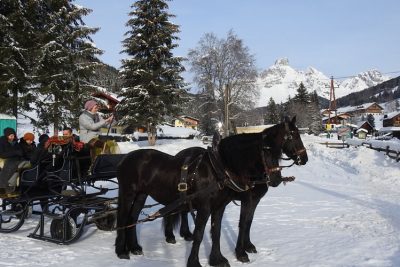 Horse sleigh ride in Filzmoos.