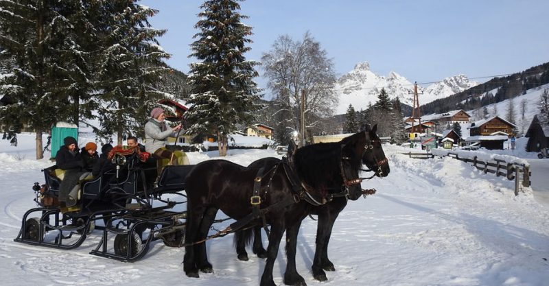 horse tour salzburg